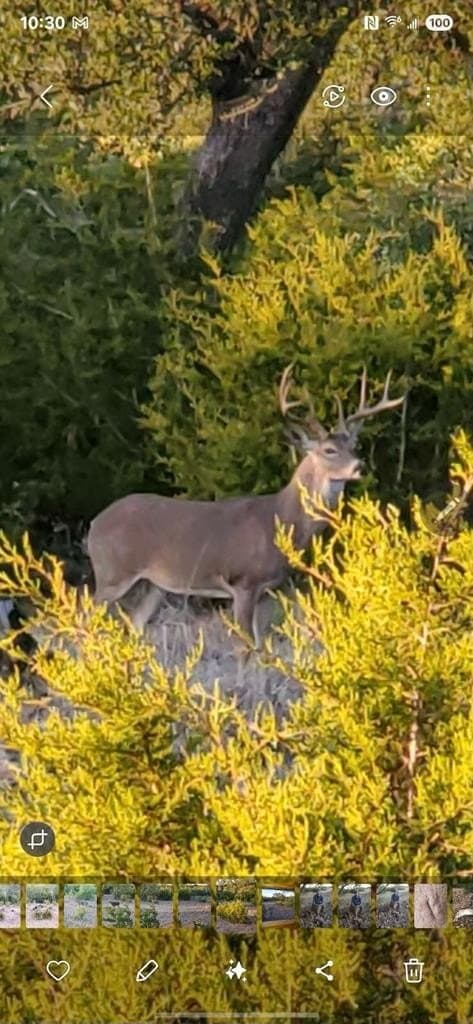 125.5 acres in Kerr County featured view