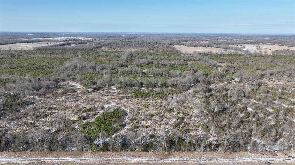 80.65 acres in Red River (TX) County featured view