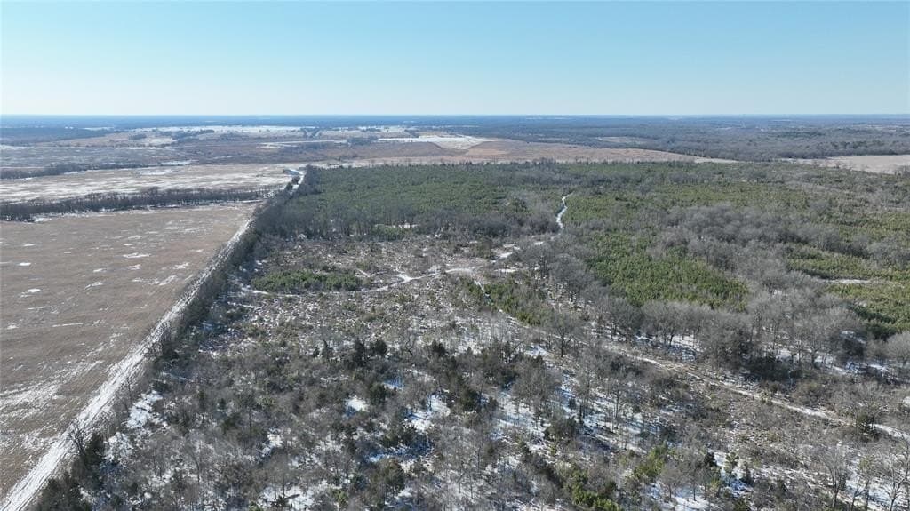 80.65 acres in Red River (TX) County gallery image 3