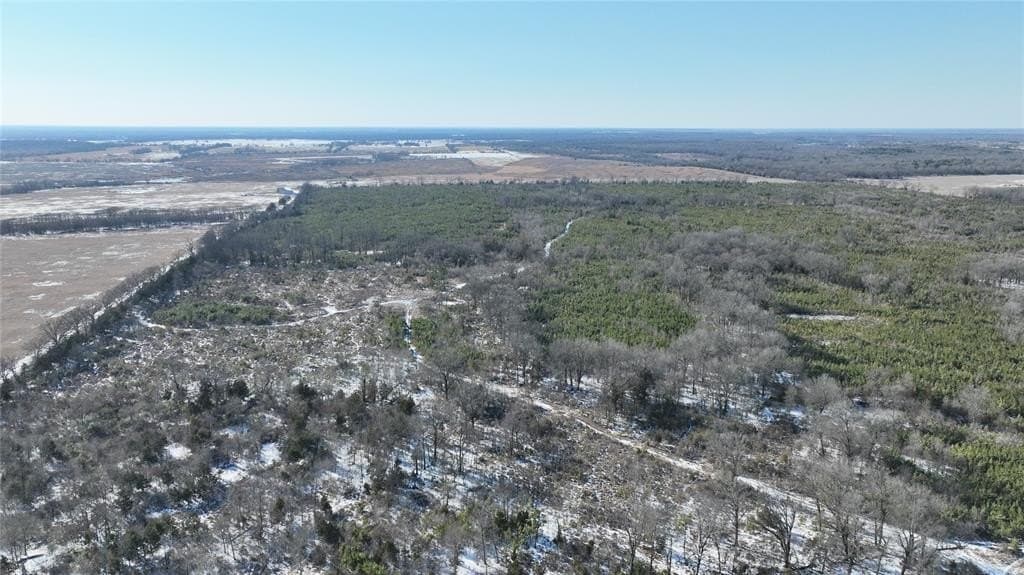 80.65 acres in Red River (TX) County gallery image 2