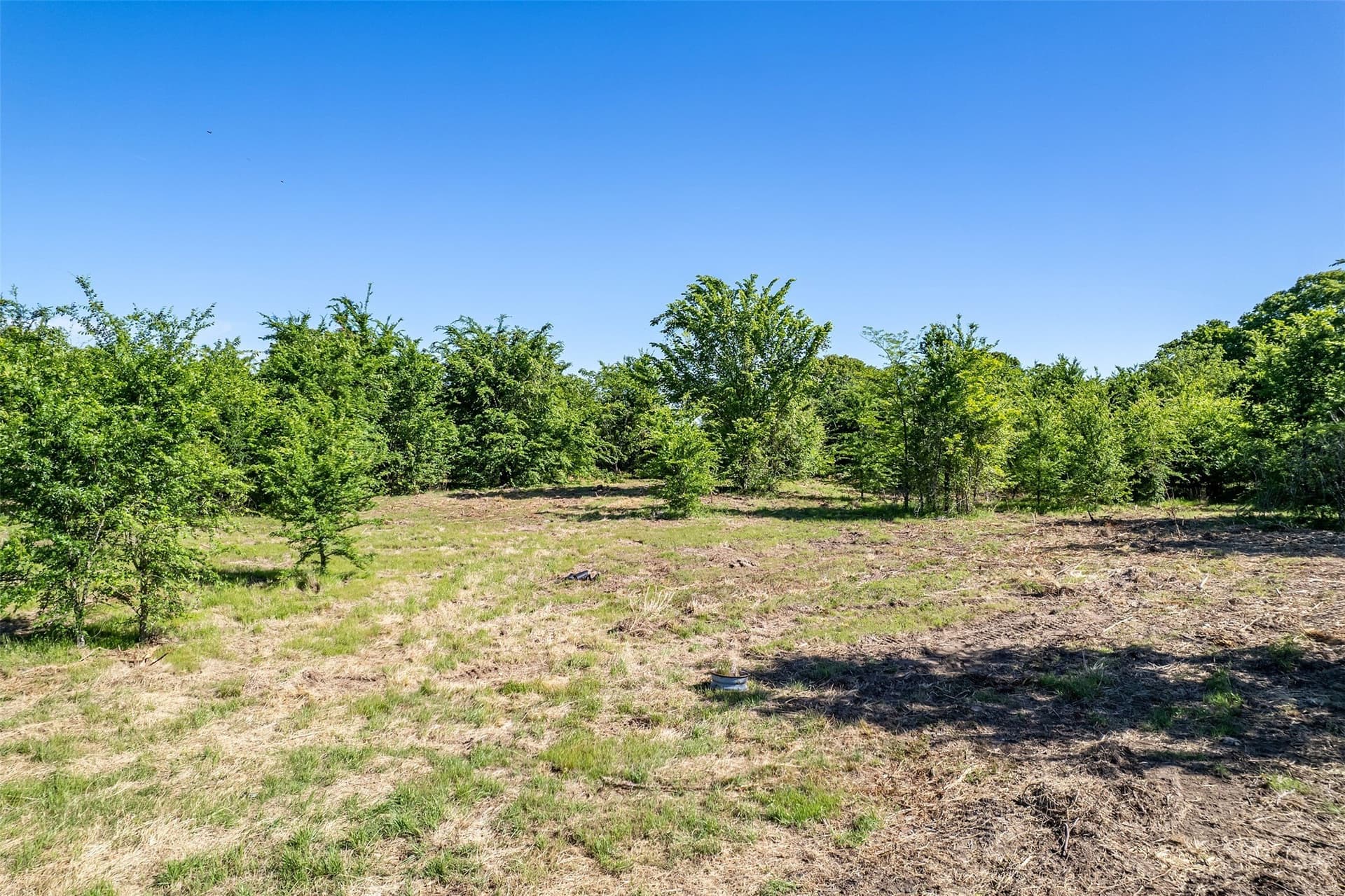 6.91 acres in Henderson County - photo 14