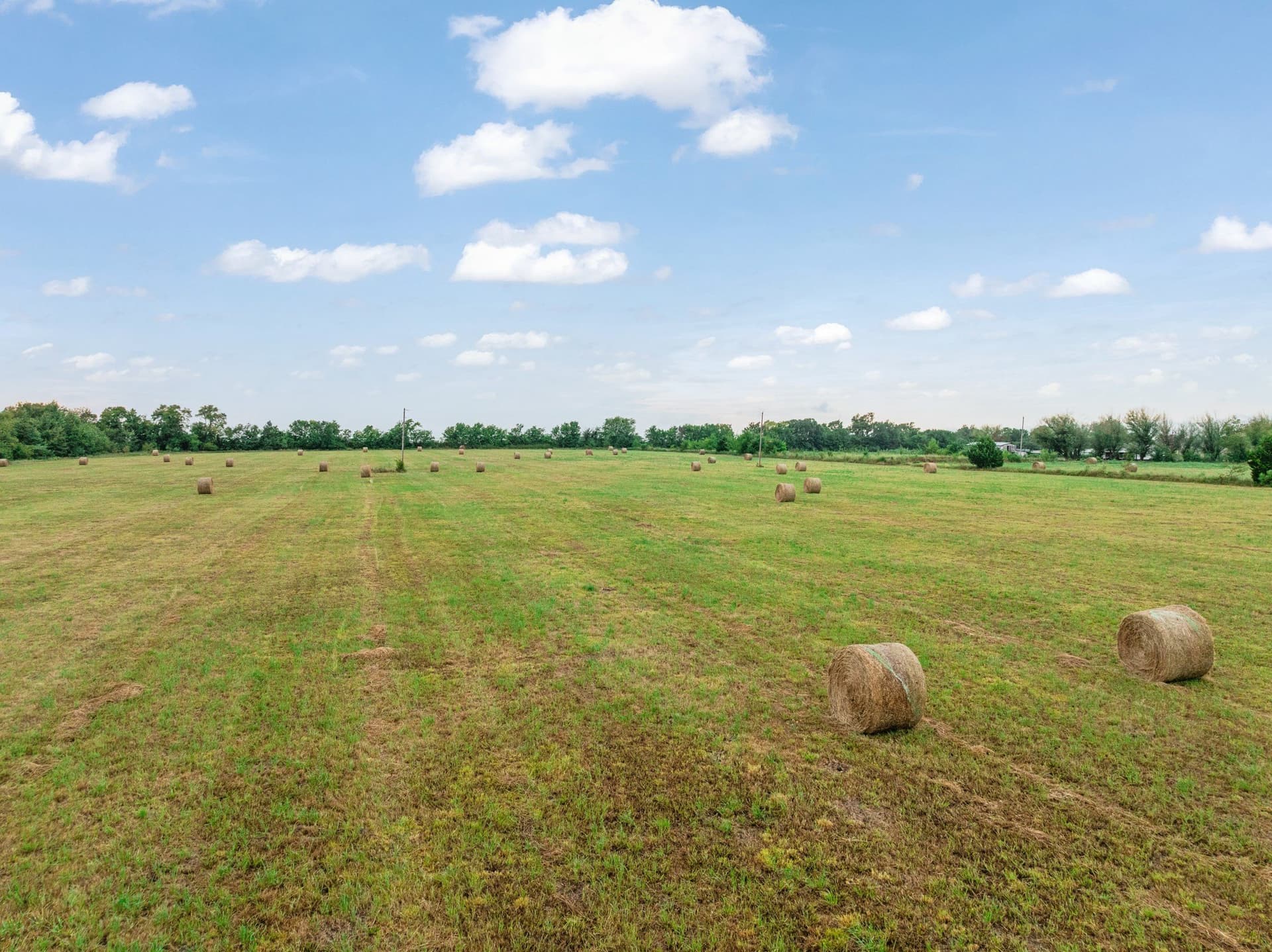 30 acres in Lamar County - photo 6