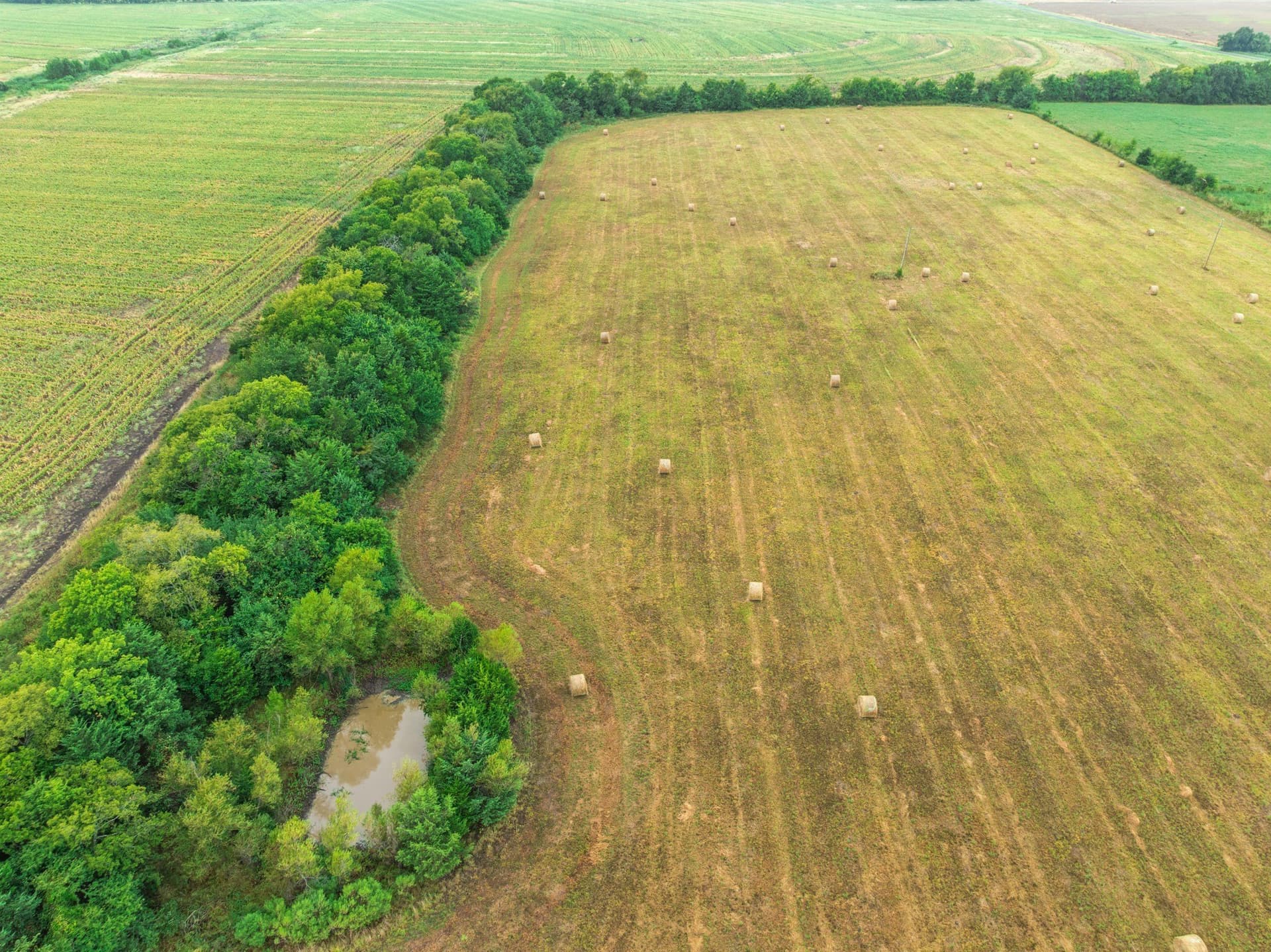 30 acres in Lamar County - photo 5