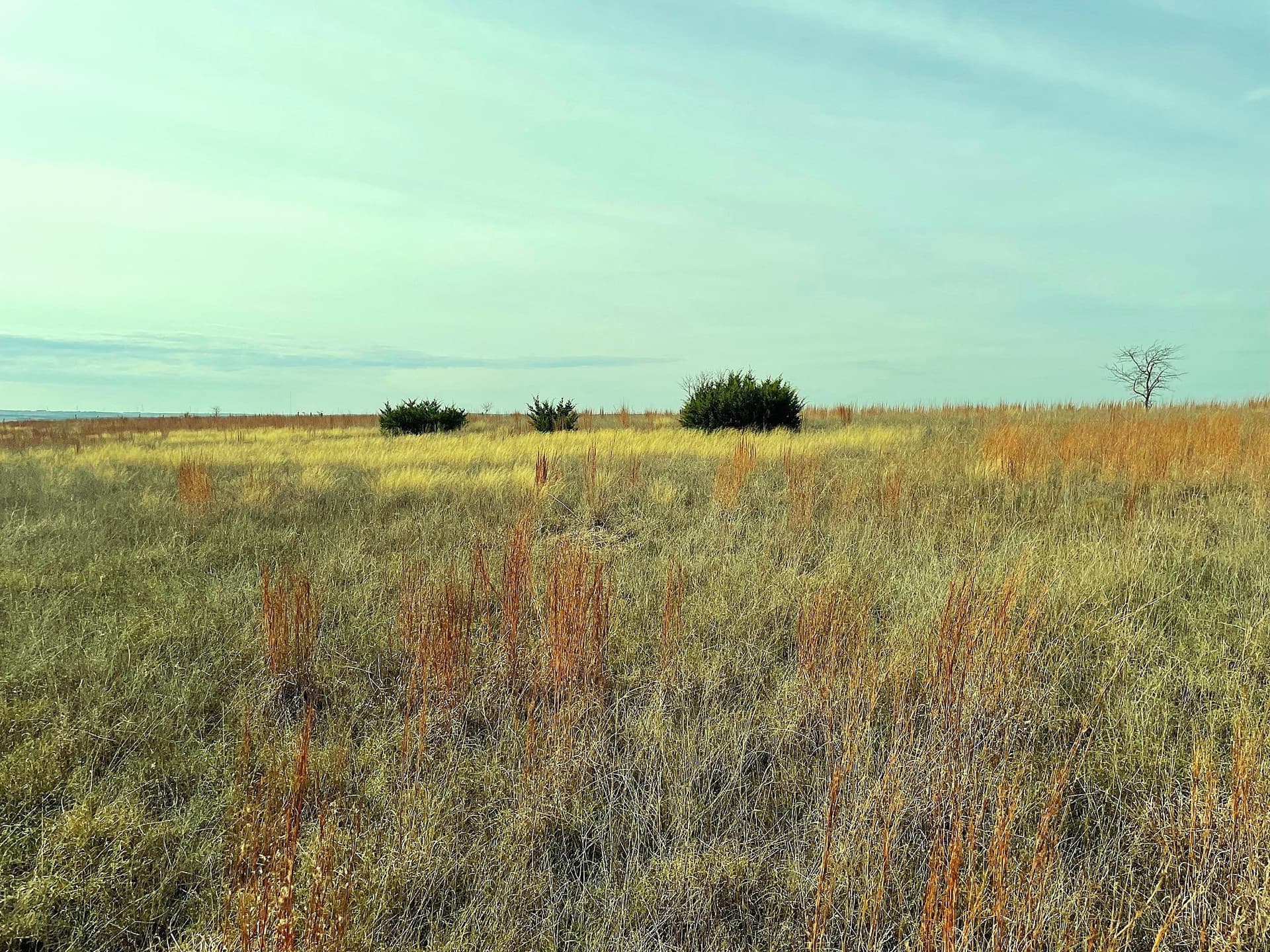 20.56 acres in Hamilton County - photo 3