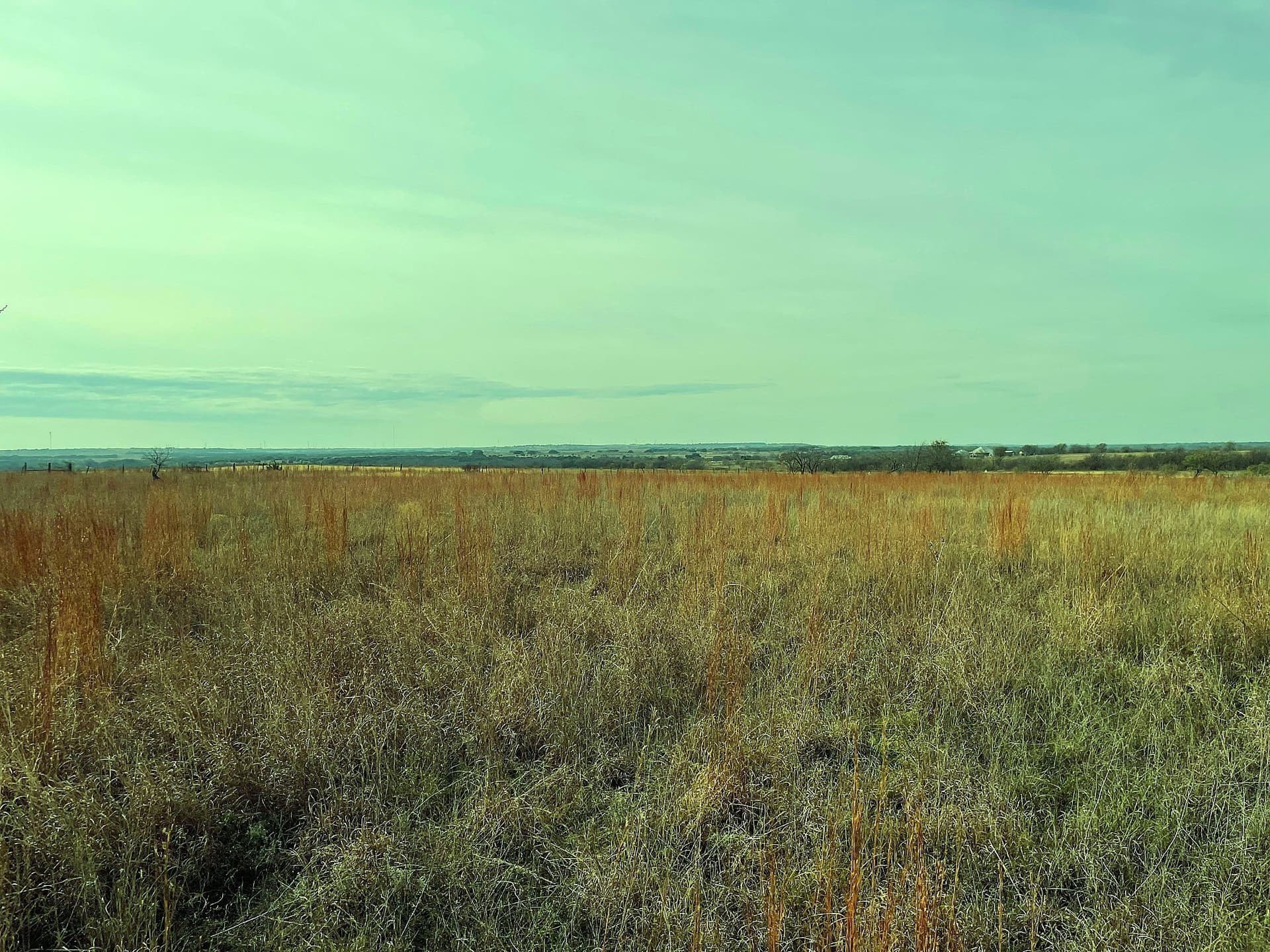 20.56 acres in Hamilton County - photo 6