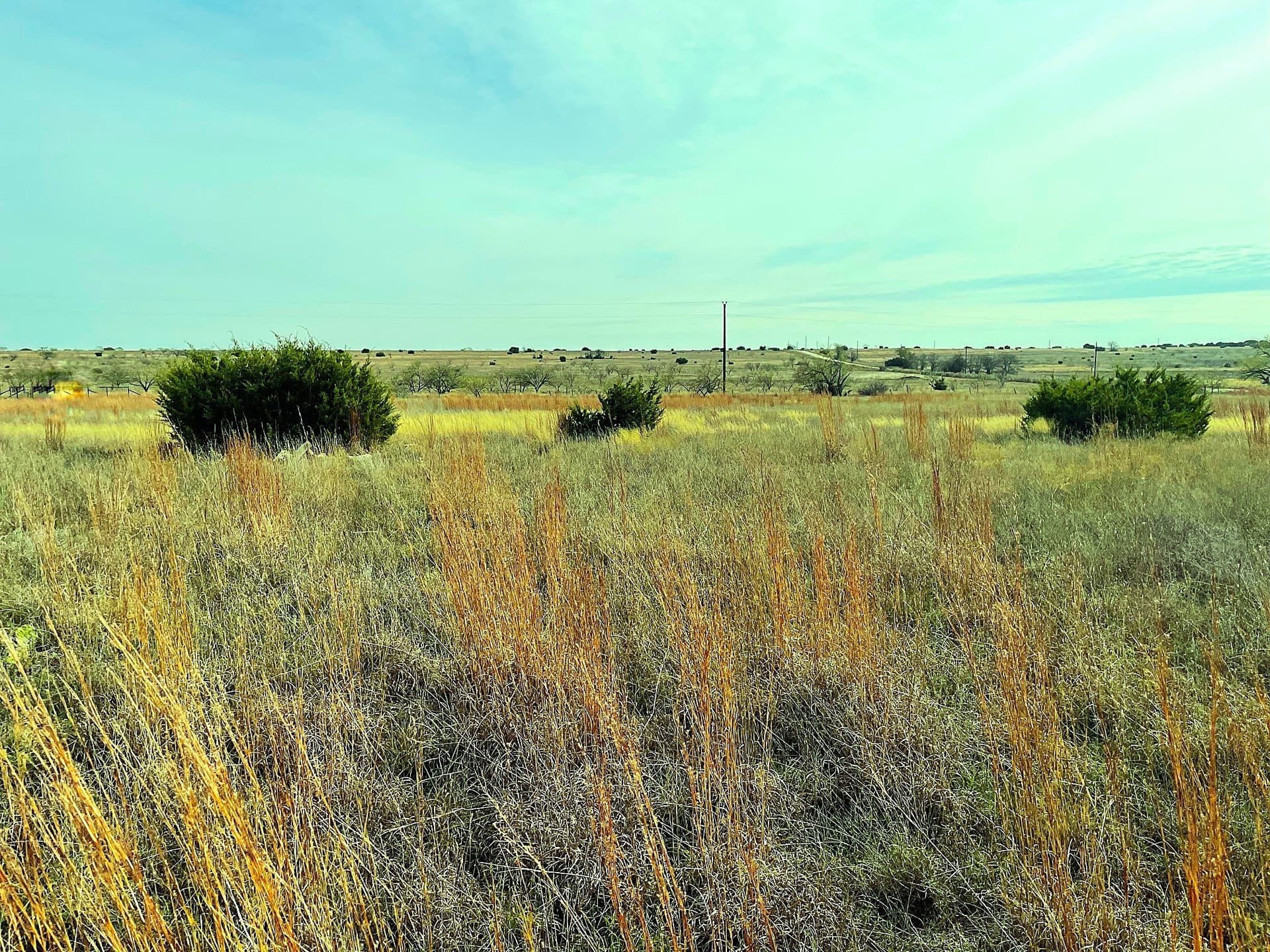 20.56 acres in Hamilton County - photo 5
