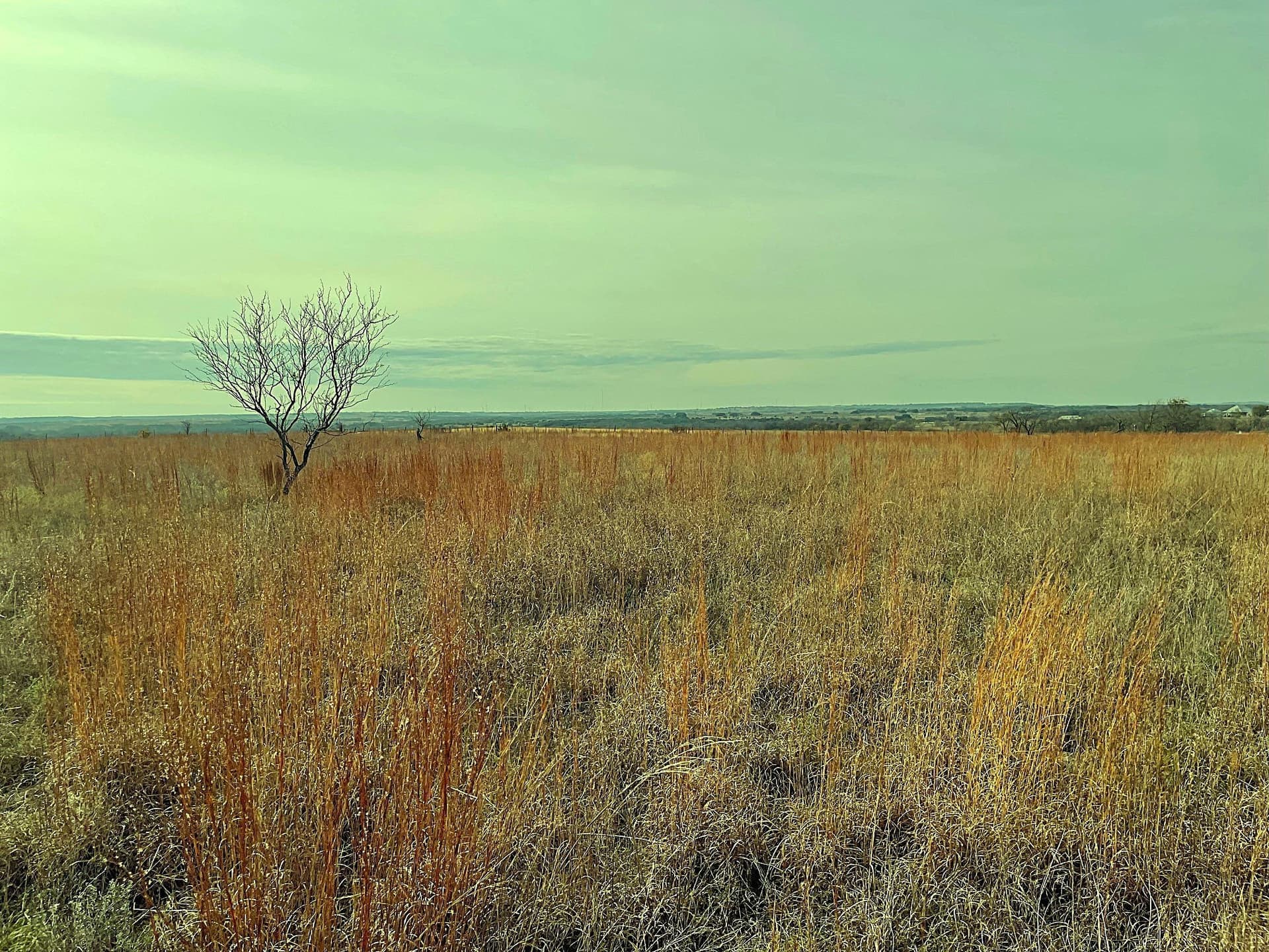 20.56 acres in Hamilton County - photo 4