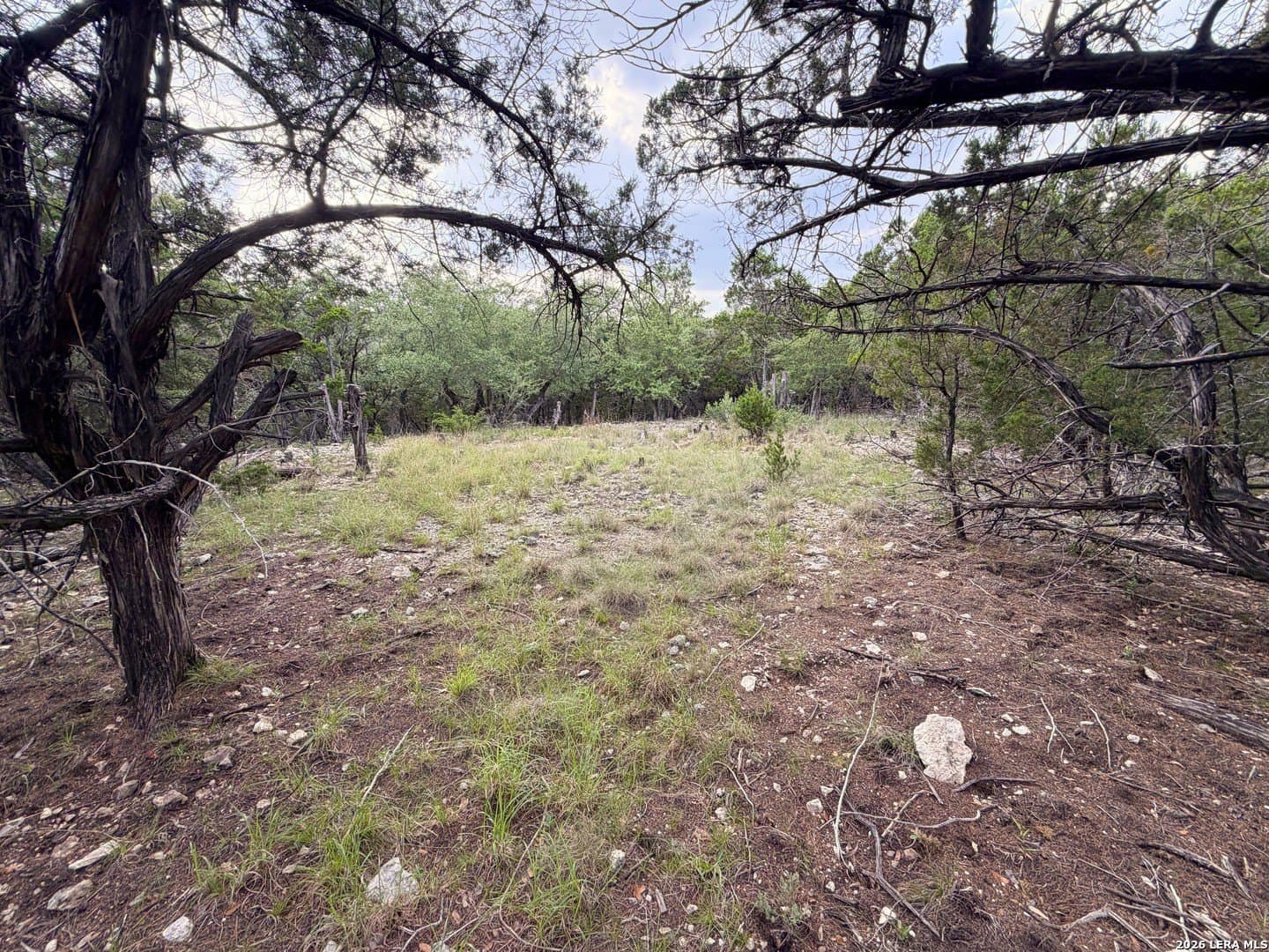2.74 acres in Bexar County gallery image 4