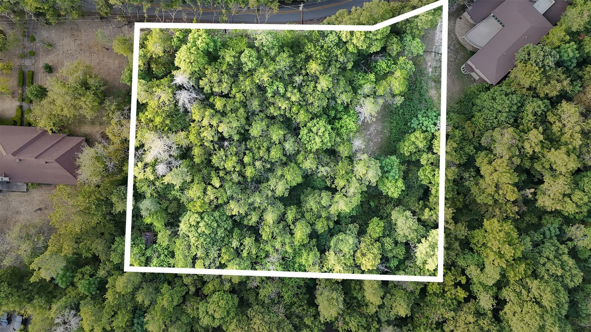 1.24 acres in Dallas County - photo 4