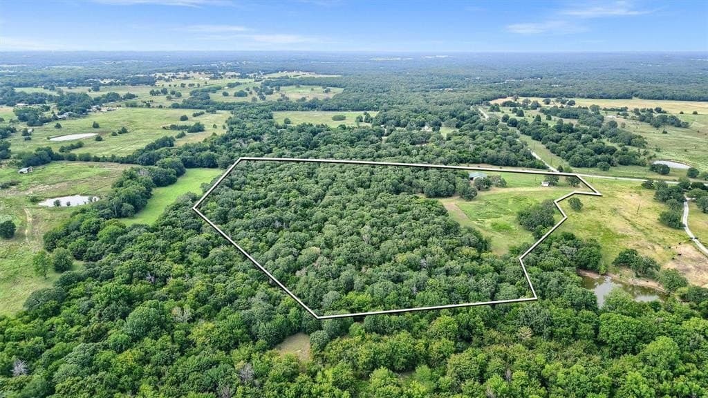 19.86 acres in Cooke County gallery image 2