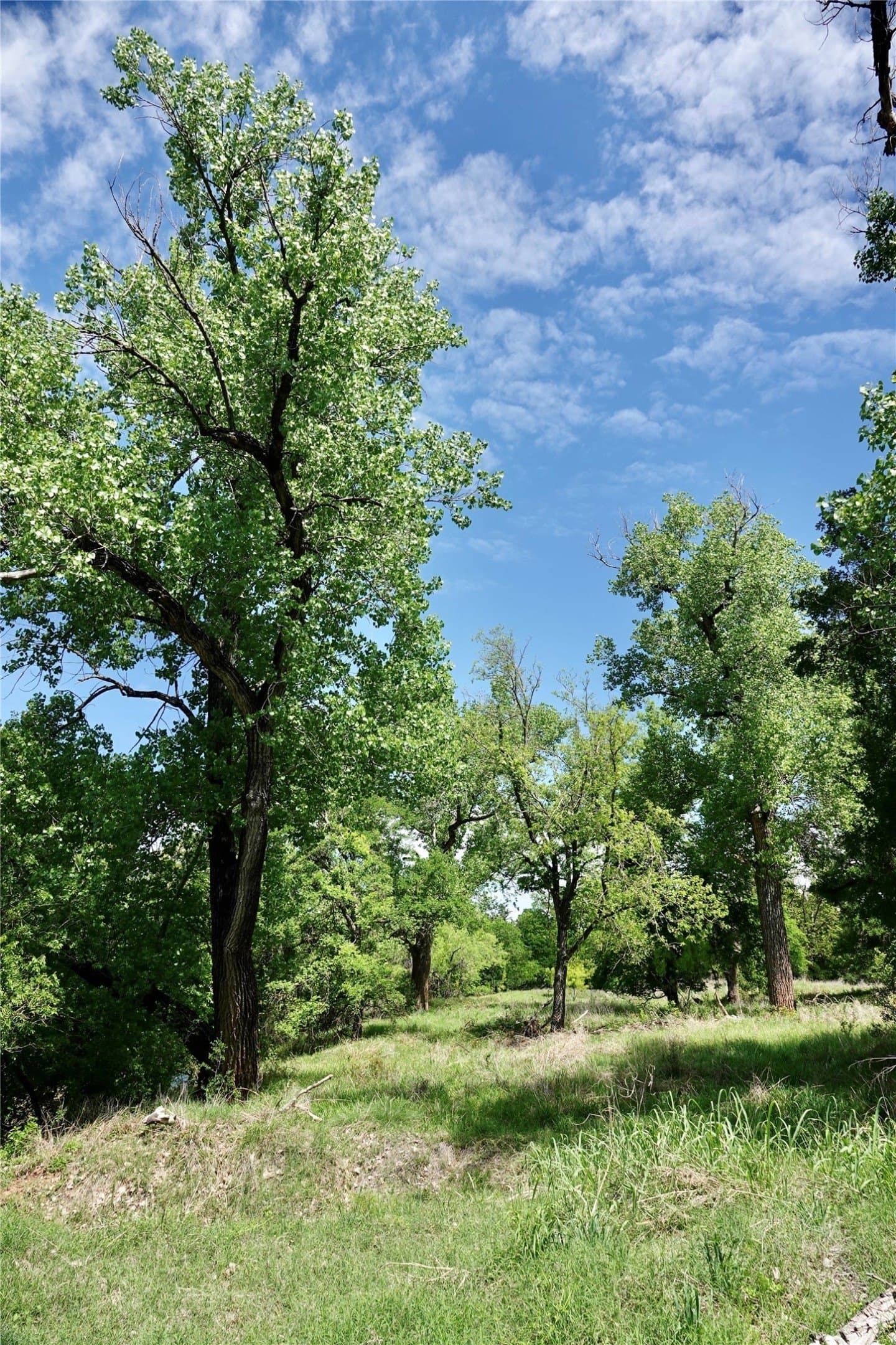20 acres in Mills County - photo 21