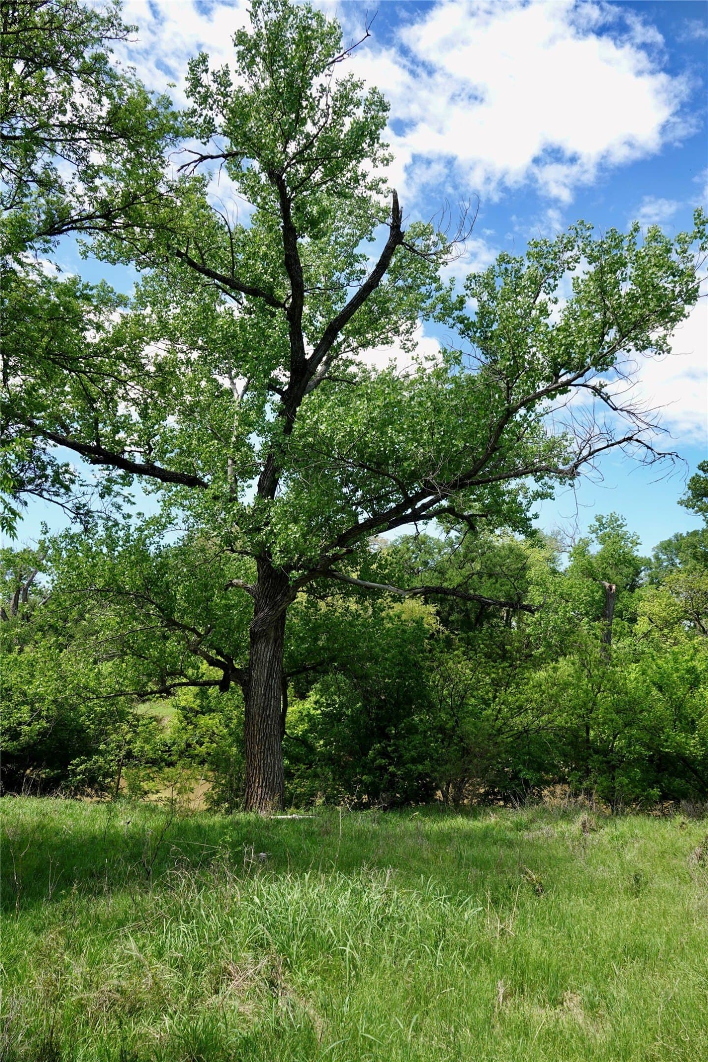 20 acres in Mills County - photo 19
