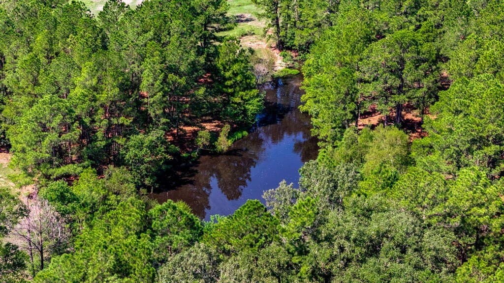 34.99 acres in Texas County - photo 7