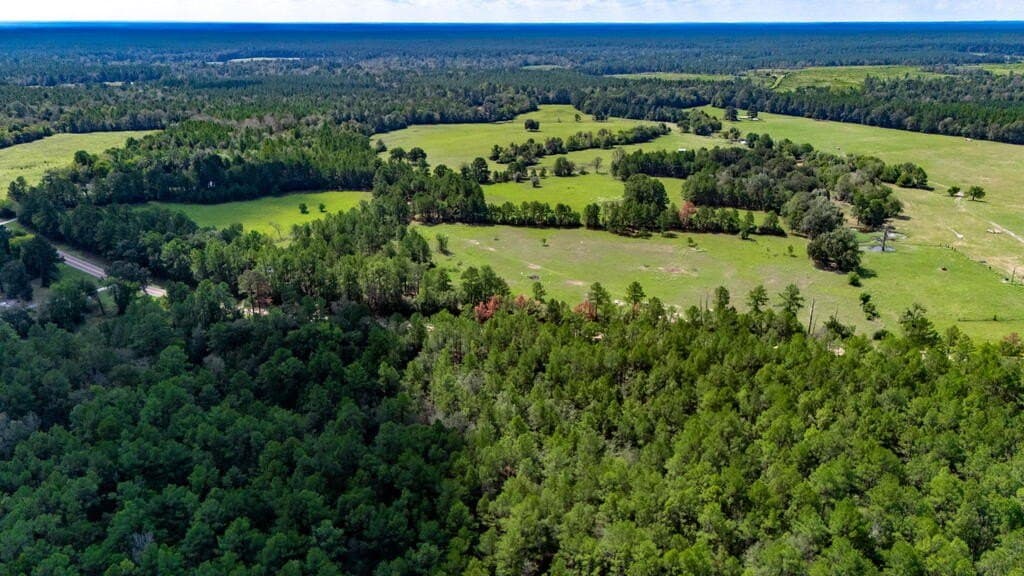 34.99 acres in Texas County - photo 8