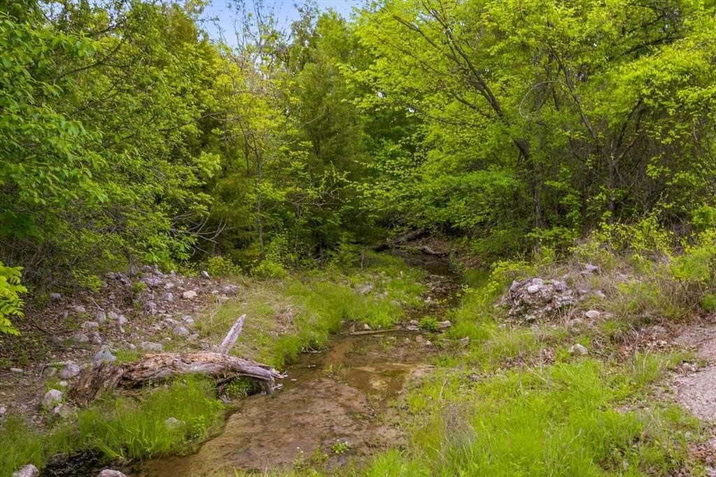 277.27 acres in Parker County gallery image 3