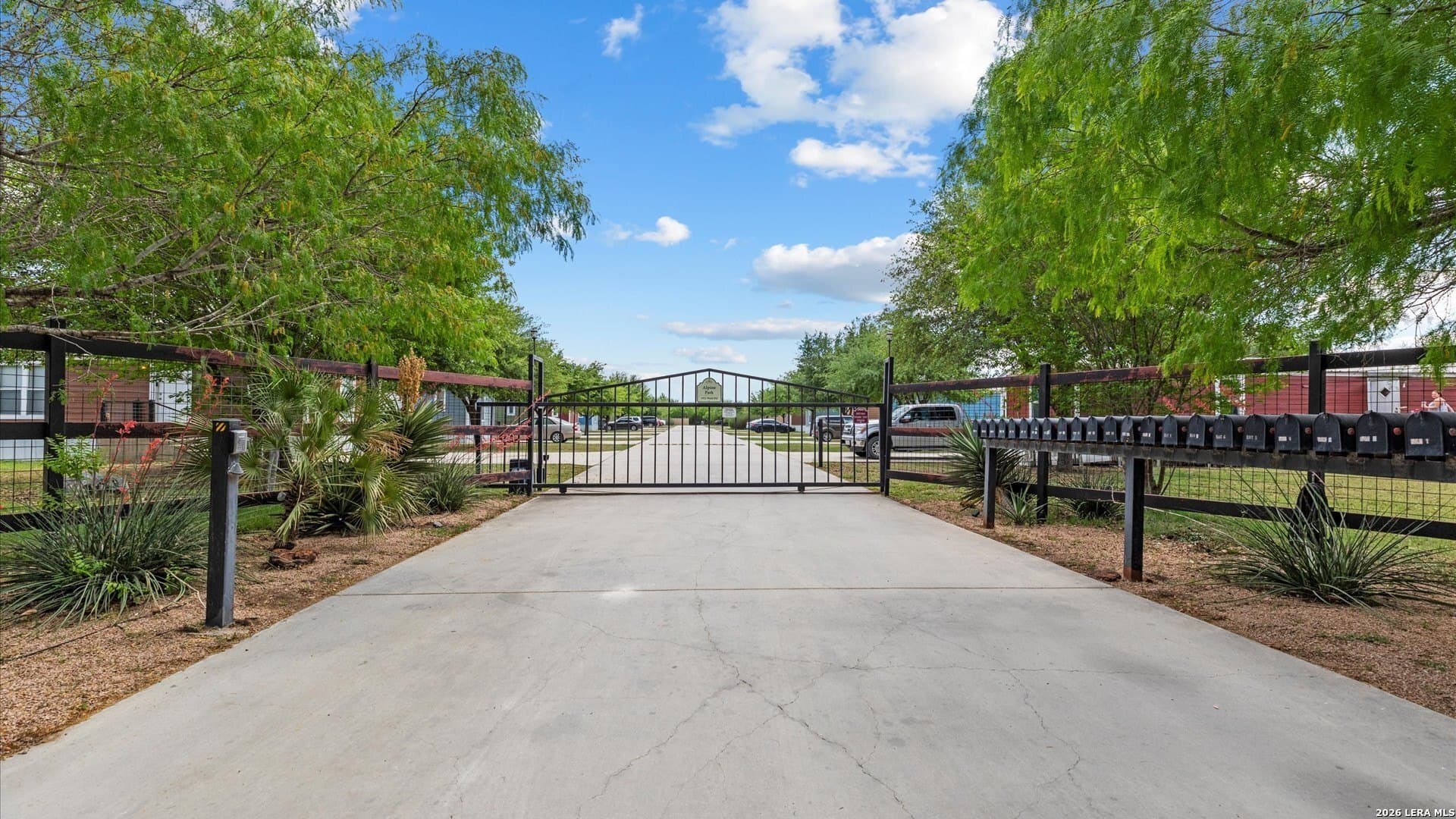 24.96 acres in Comal County gallery image 2