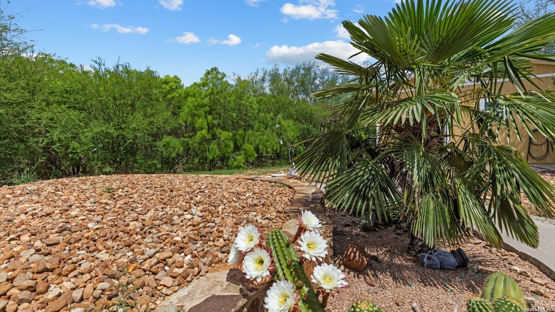 24.96 acres in Comal County - photo 21