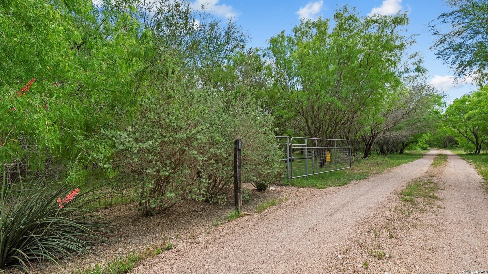 24.96 acres in Comal County gallery image 3