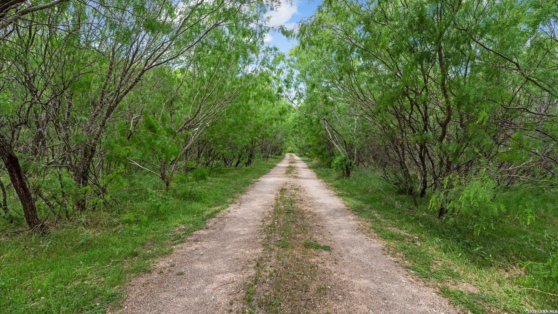 24.96 acres in Comal County gallery image 4