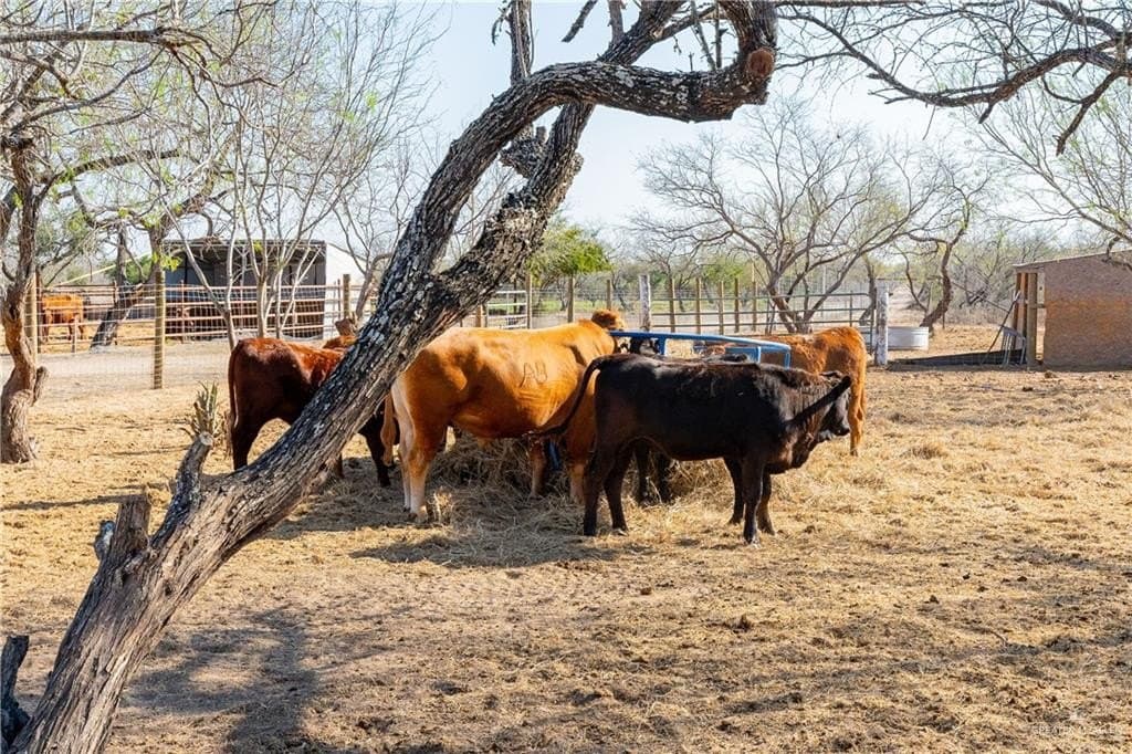 80.9 acres in Hidalgo County - photo 44