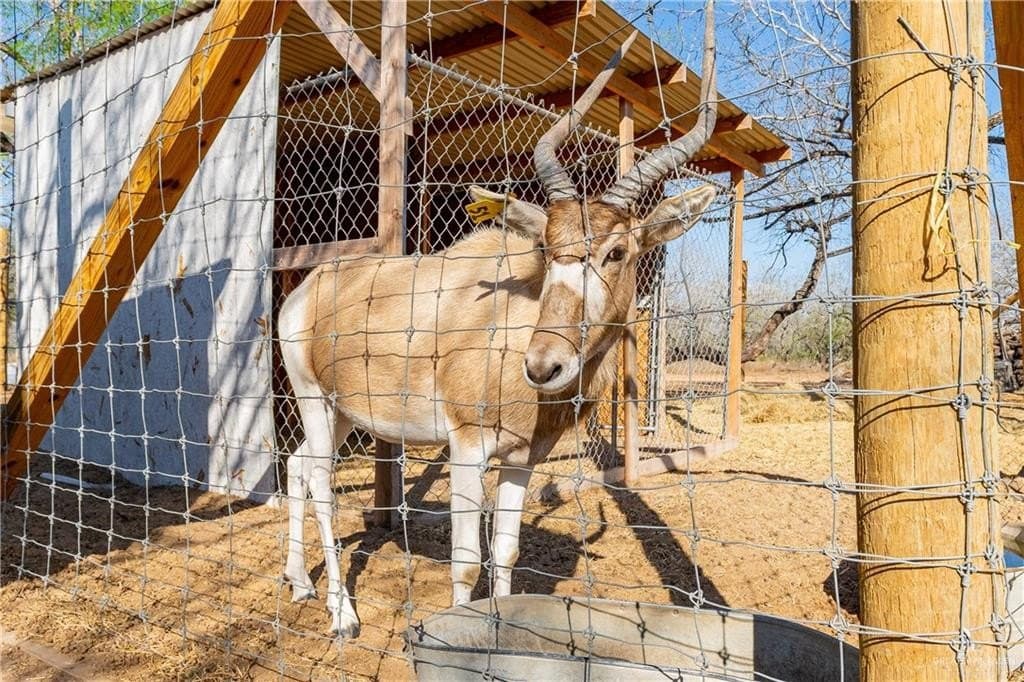 80.9 acres in Hidalgo County - photo 42