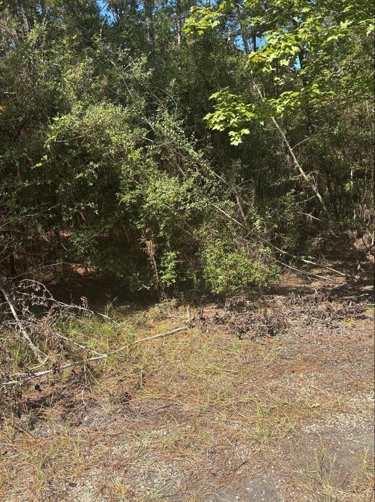0.2 acres in Texas County - photo 6