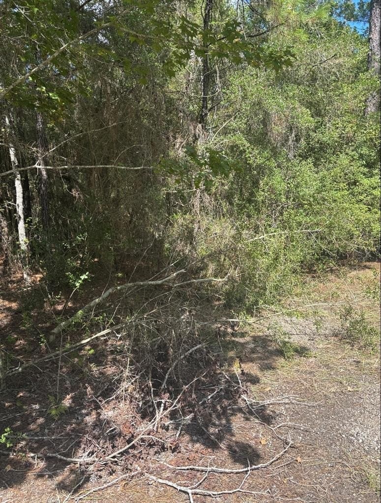 0.2 acres in Texas County featured view