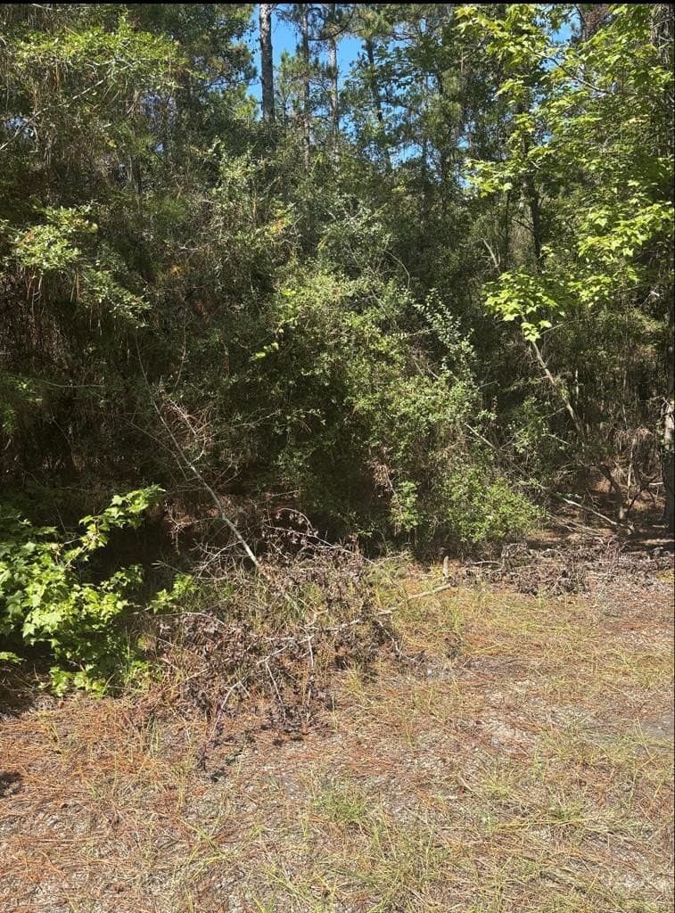 0.2 acres in Texas County gallery image 3