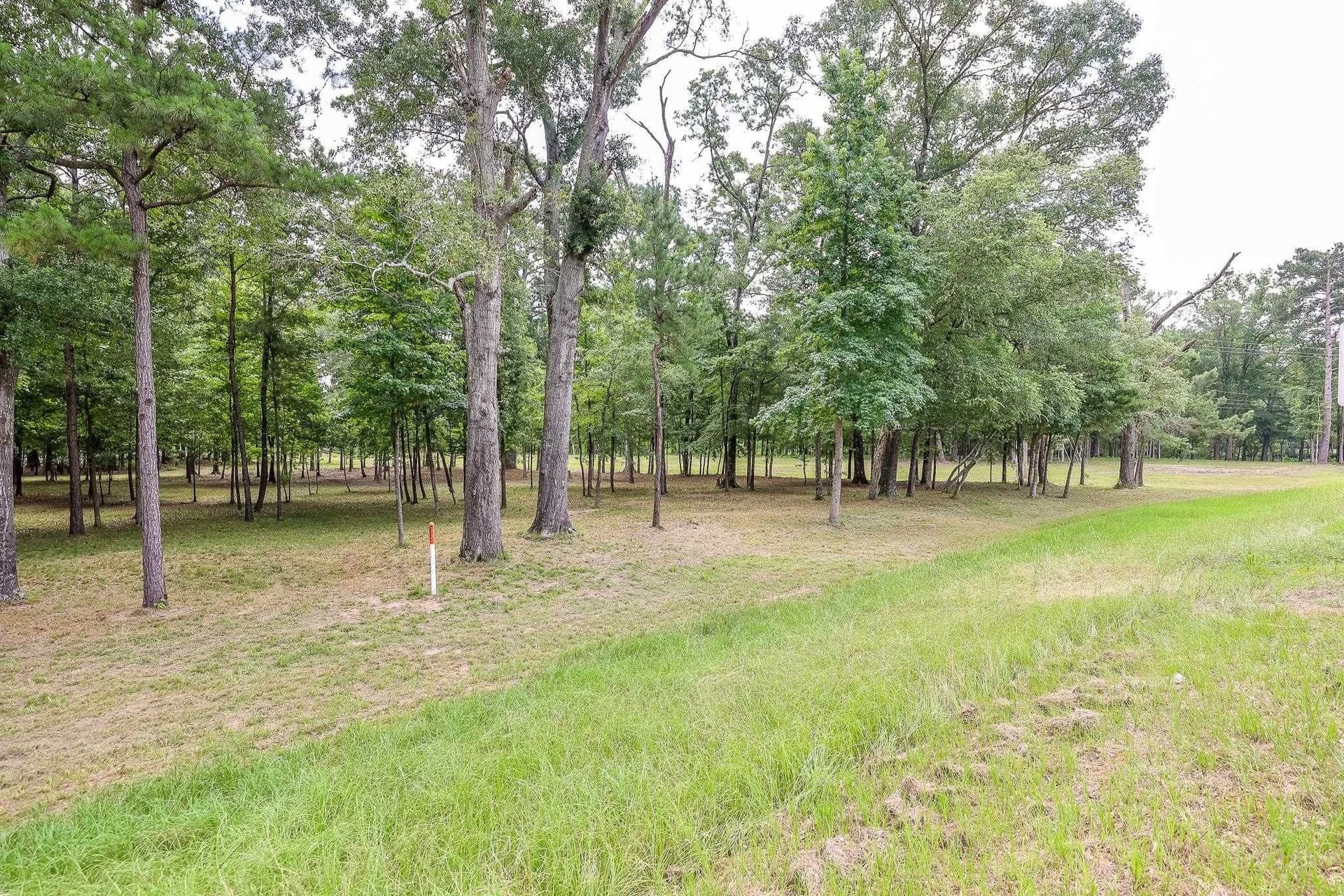 6 acres in Marion County - photo 6