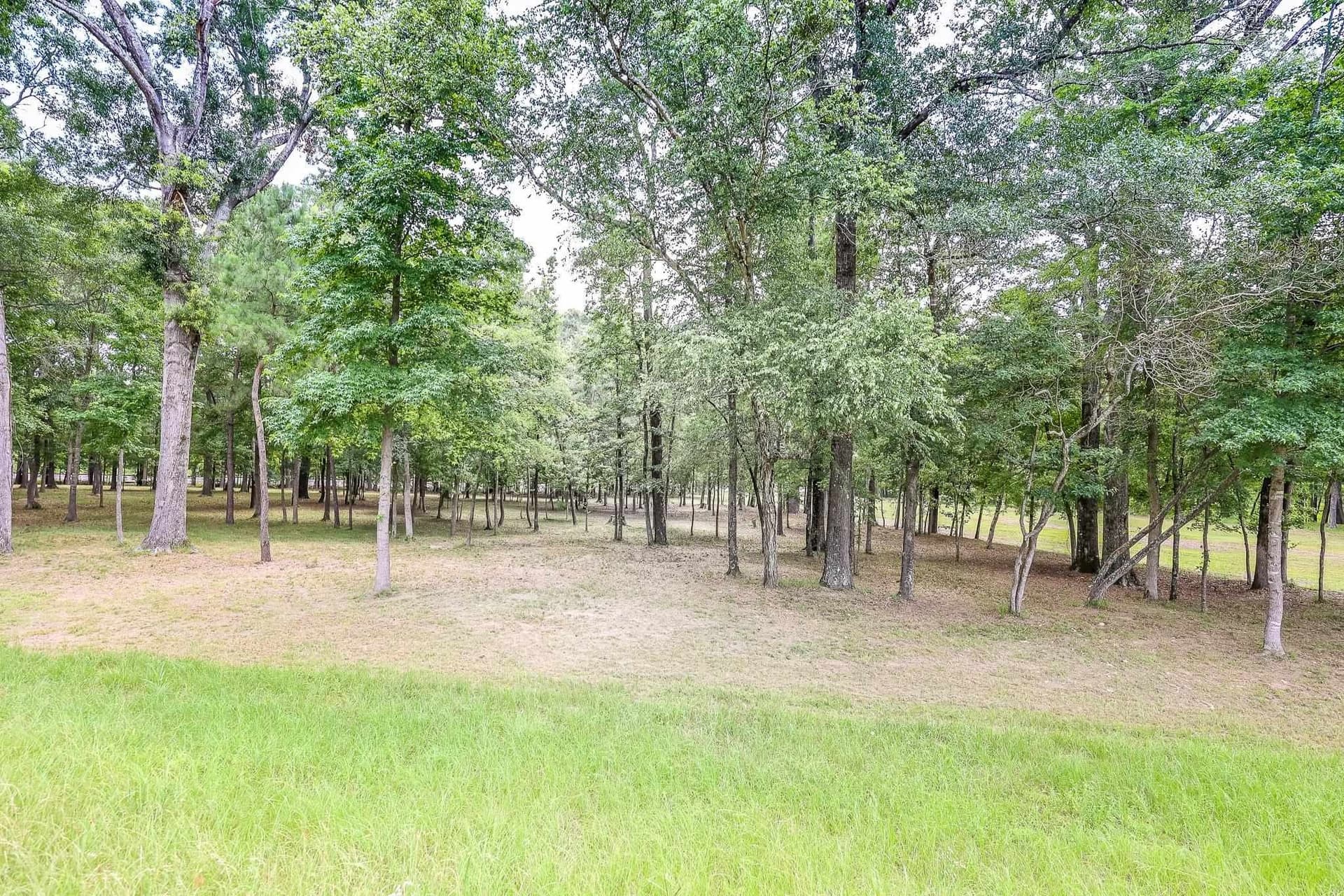 6 acres in Marion County - photo 7
