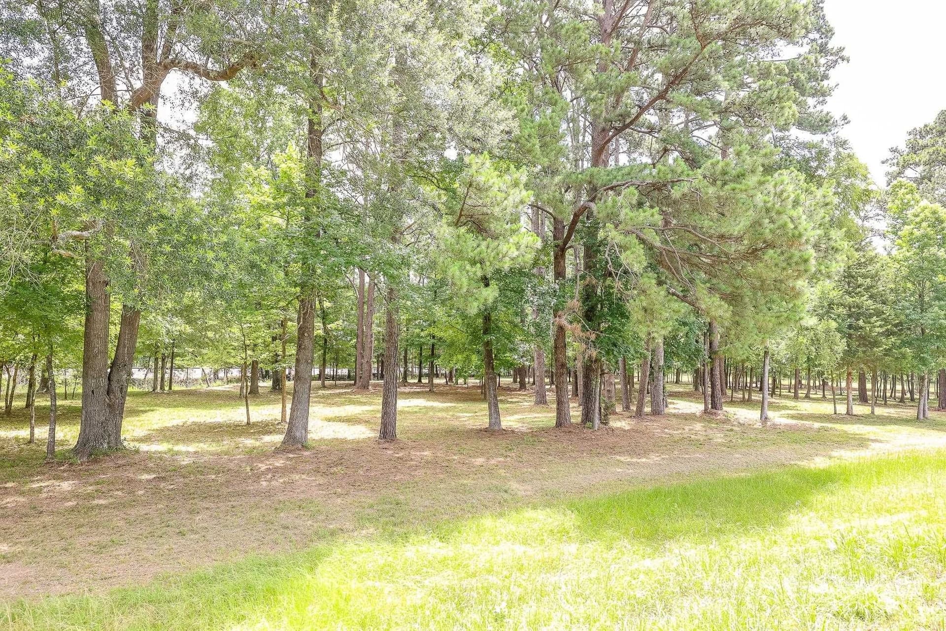 6 acres in Marion County gallery image 4