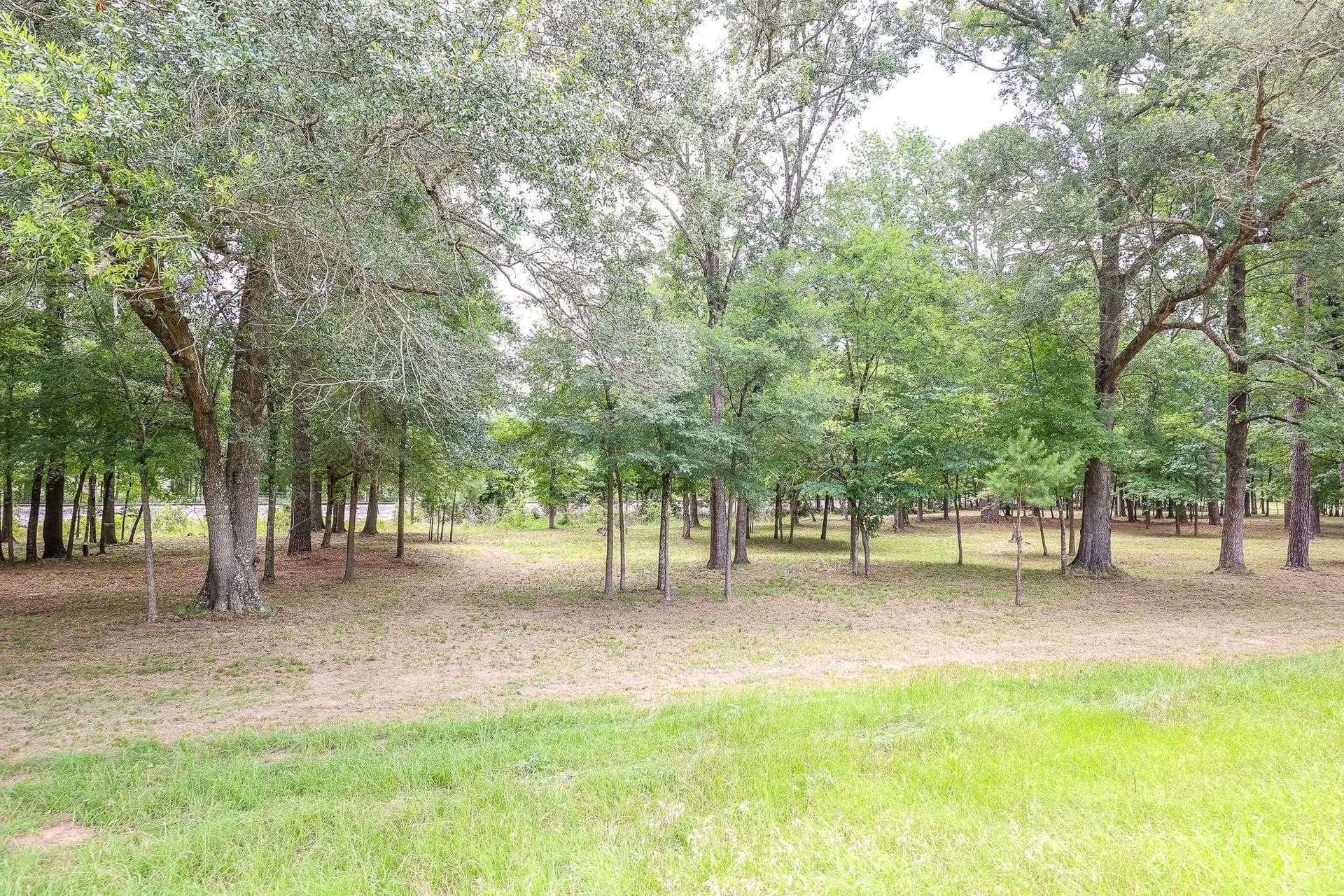 6 acres in Marion County gallery image 3