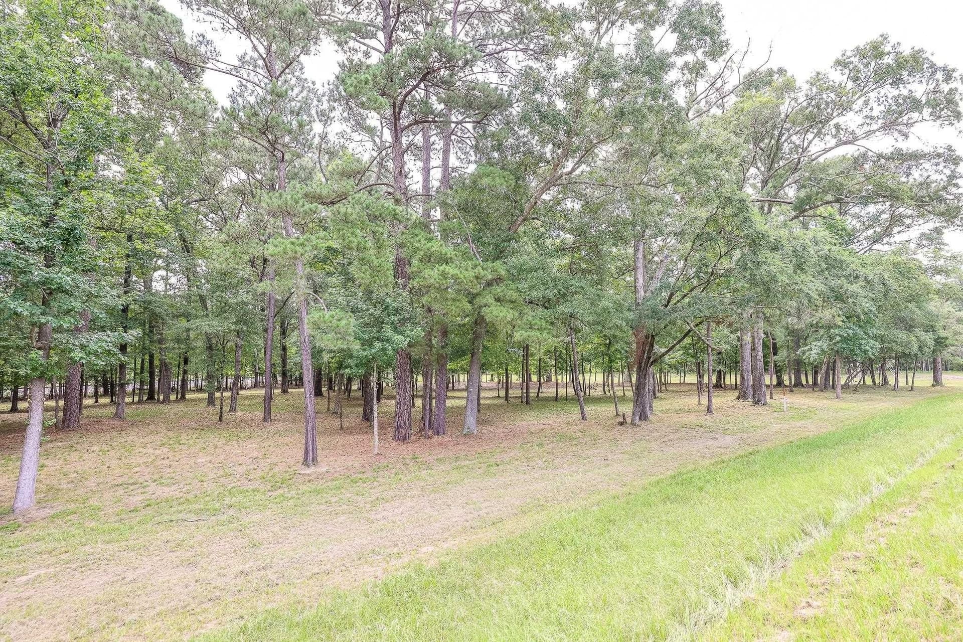 6 acres in Marion County featured view