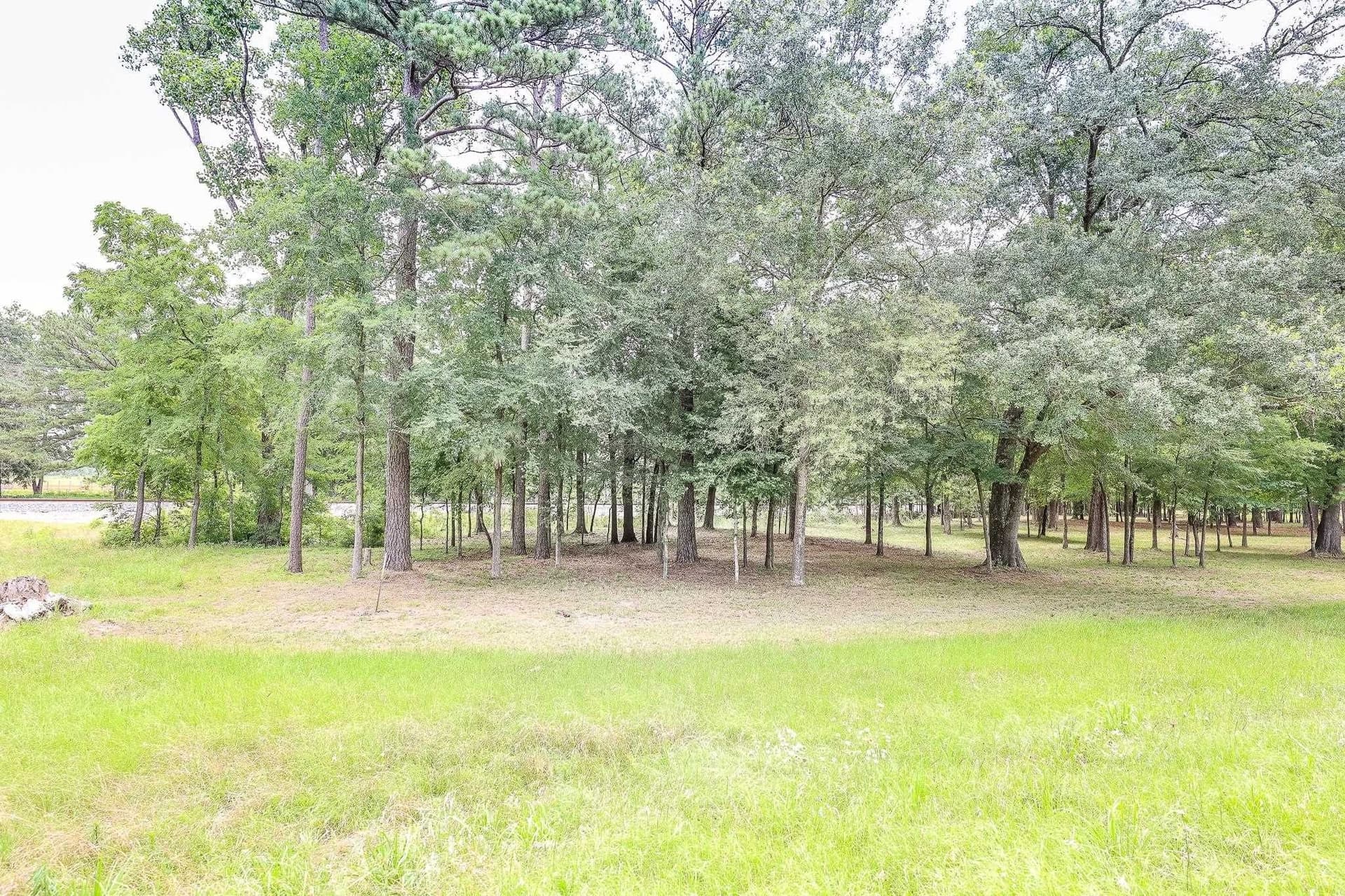 6 acres in Marion County gallery image 2