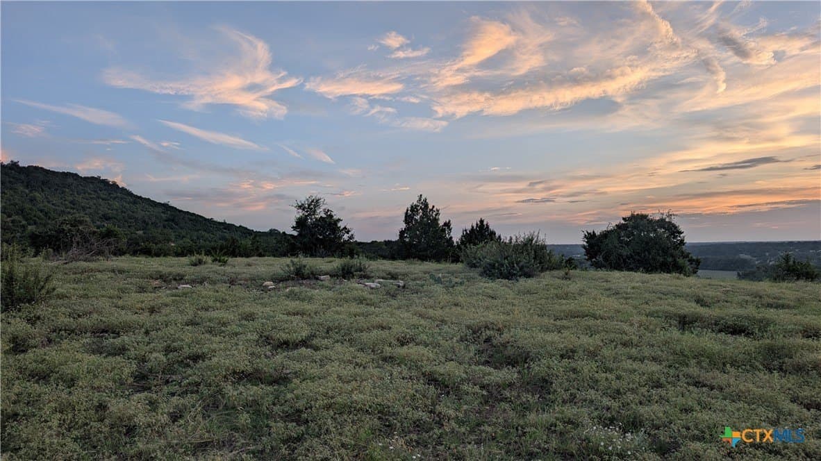 91.26 acres in Bell County gallery image 3