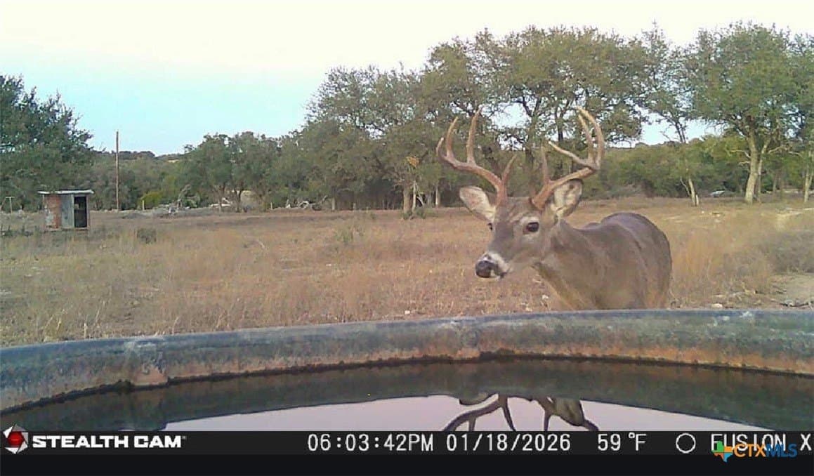 91.26 acres in Bell County - photo 26