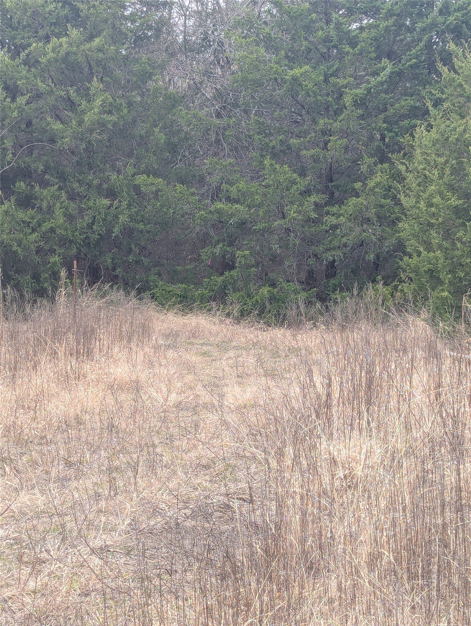 2.64 acres in Collin County - photo 4