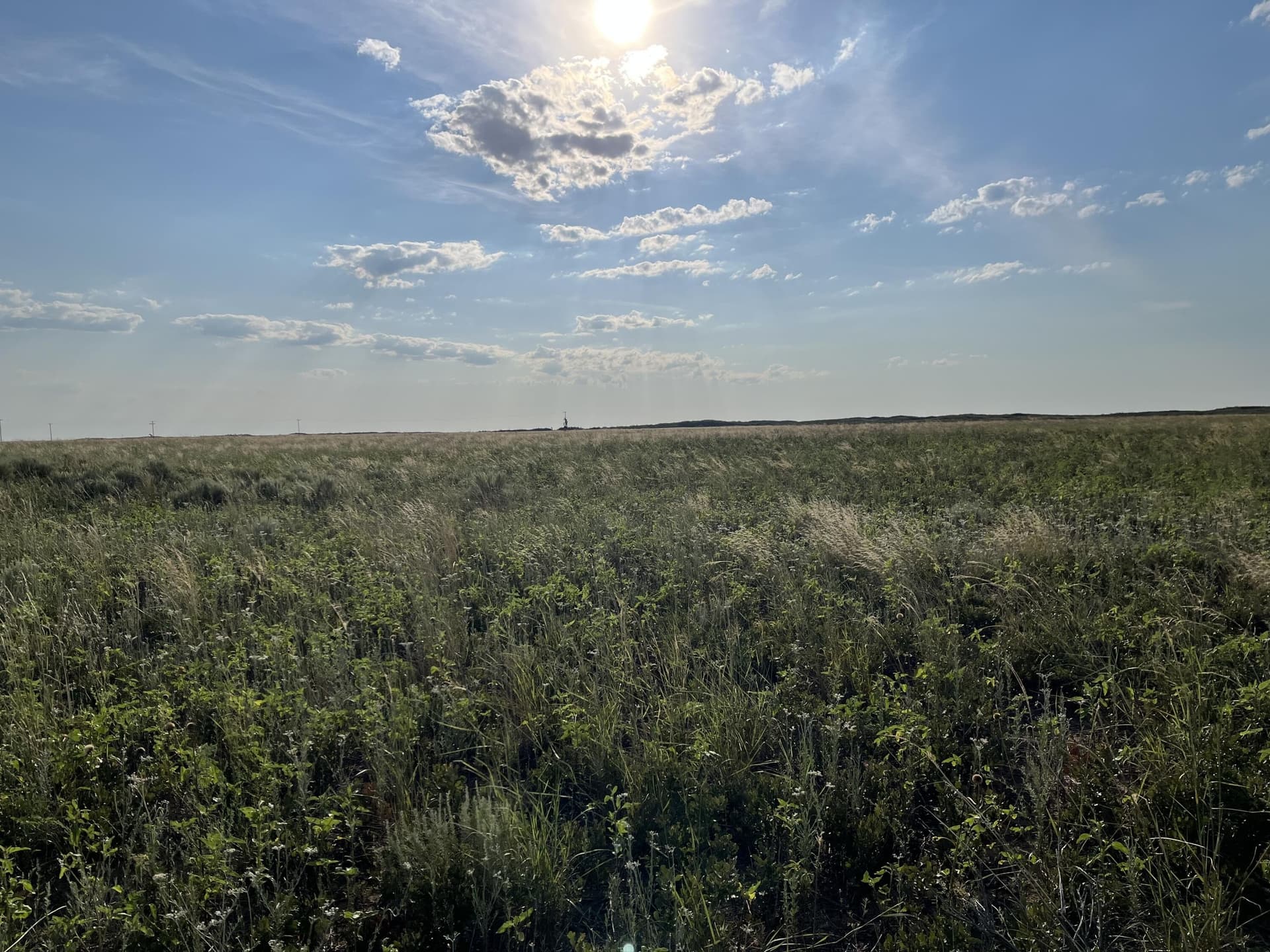 640 acres in Cochran County gallery image 4