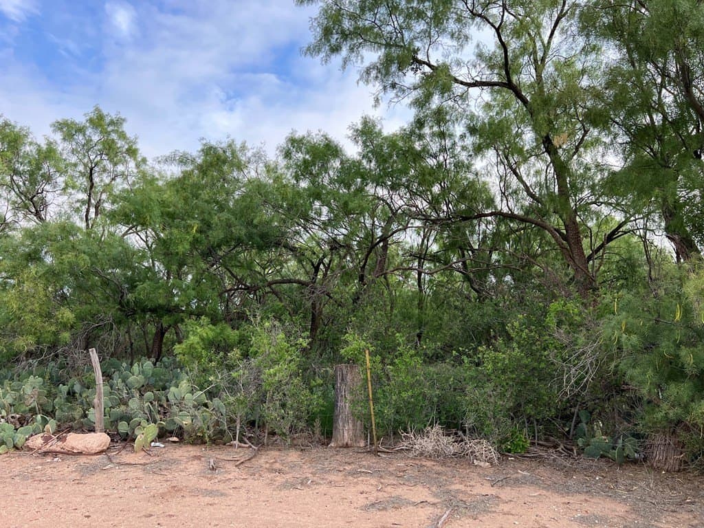 1.52 acres in Scurry County gallery image 3