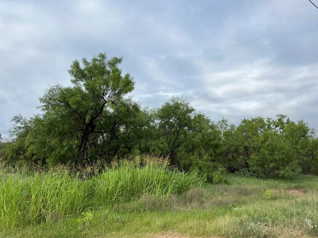 1.52 acres in Scurry County - photo 6