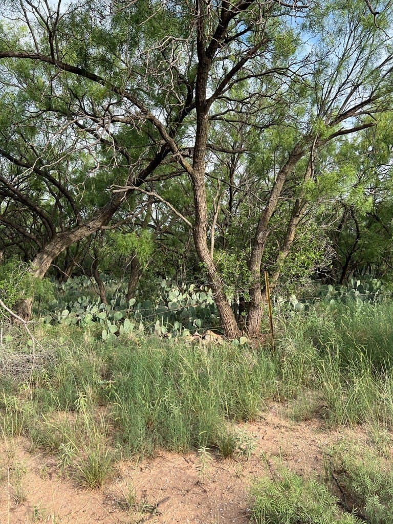 1.52 acres in Scurry County featured view