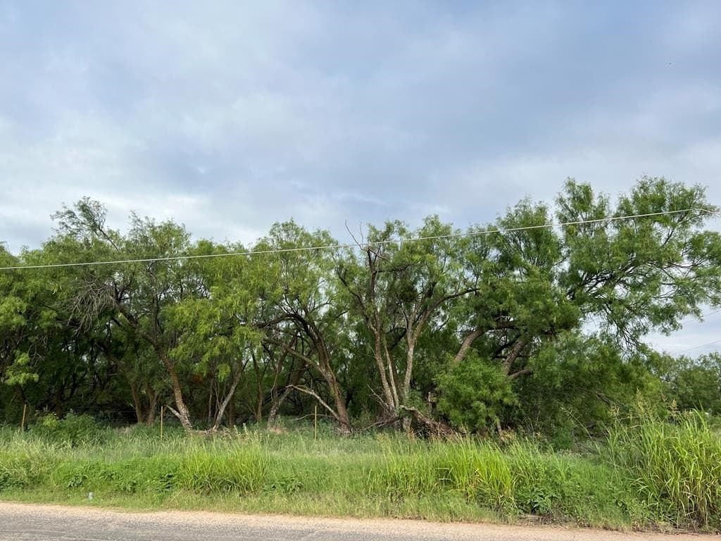 1.52 acres in Scurry County