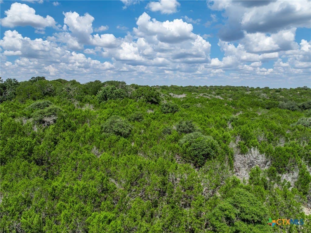 25 acres in Bosque County - photo 45