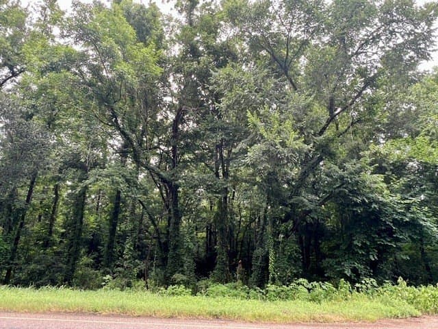 43.84 acres in Texas County gallery image 4