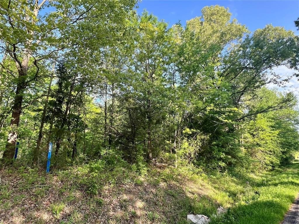 1.5 acres in Titus County gallery image 2