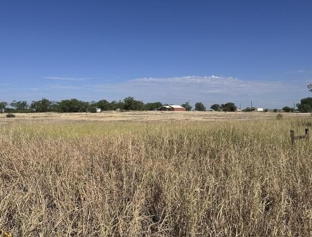 10 acres in Scurry County - photo 37