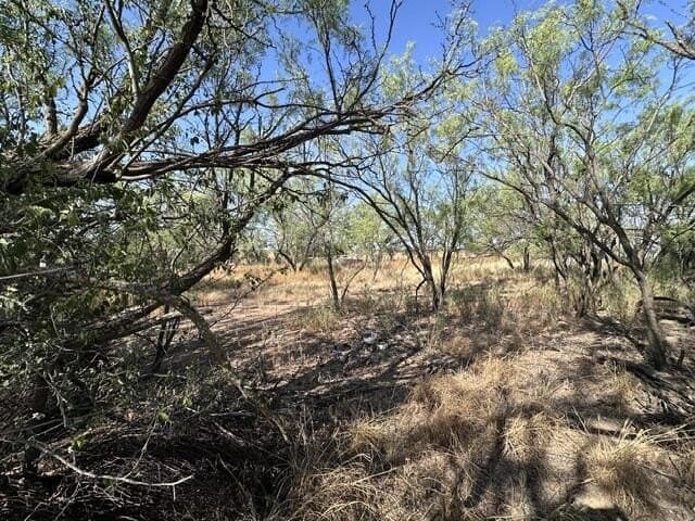 10 acres in Scurry County - photo 42