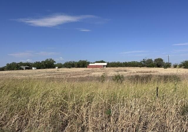 10 acres in Scurry County - photo 29