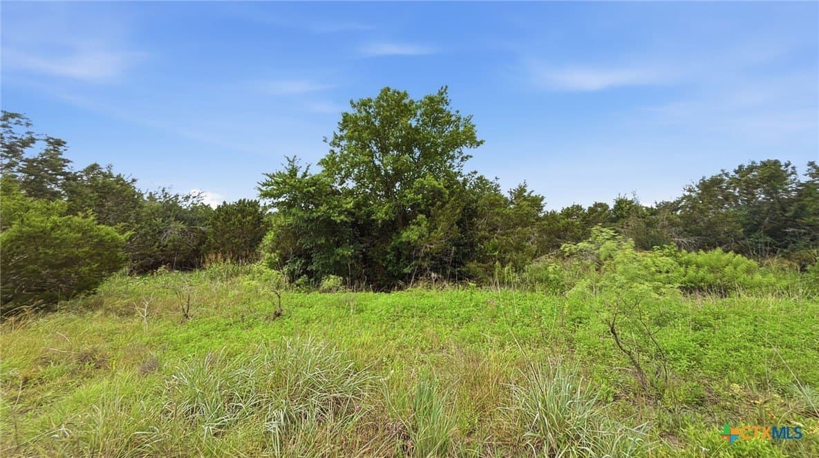 10.01 acres in Hamilton County - photo 17
