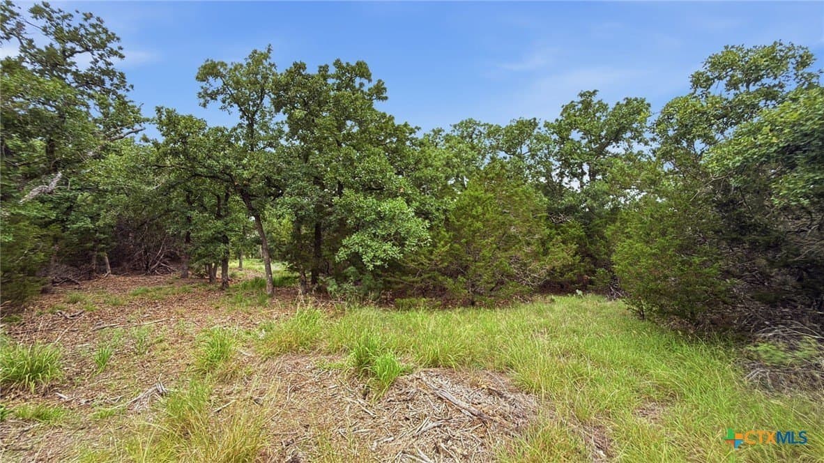 10.01 acres in Hamilton County - photo 11